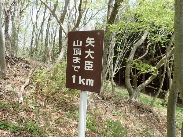 P5060132