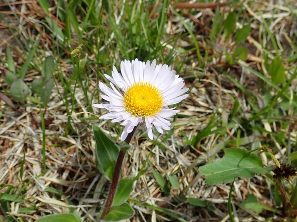 P5060150