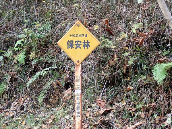 PC050008