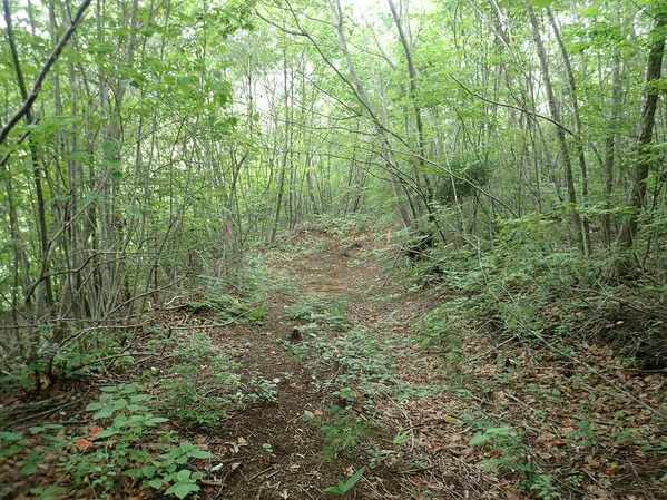 P7240135