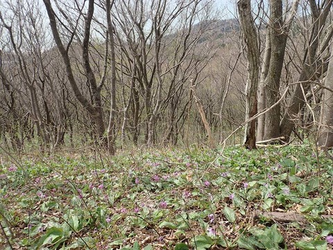 0406yahiko_ (64)