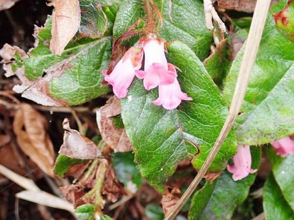 P6180035