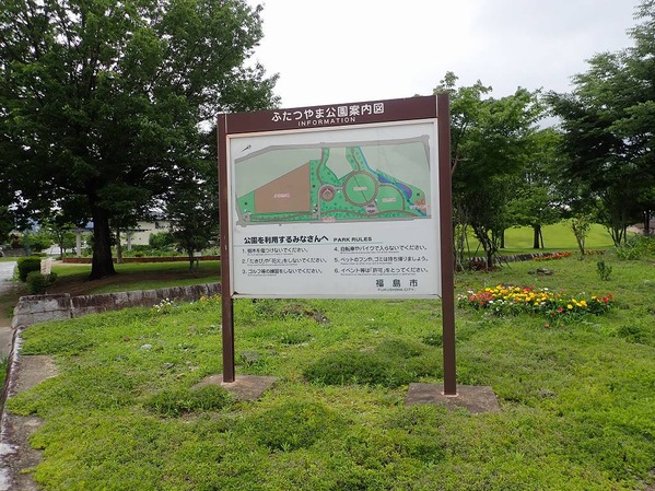 P7070005