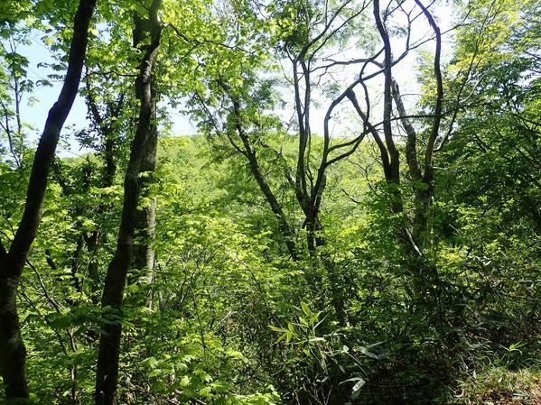 P6020008