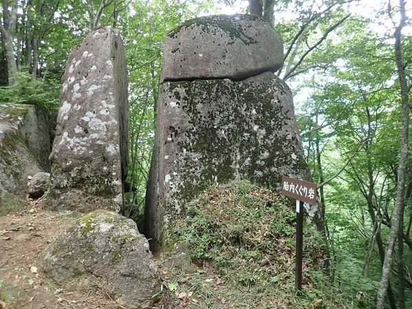P8020045