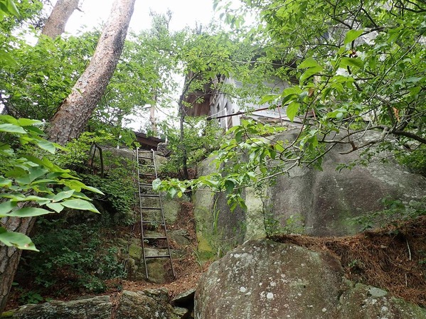 P7210041