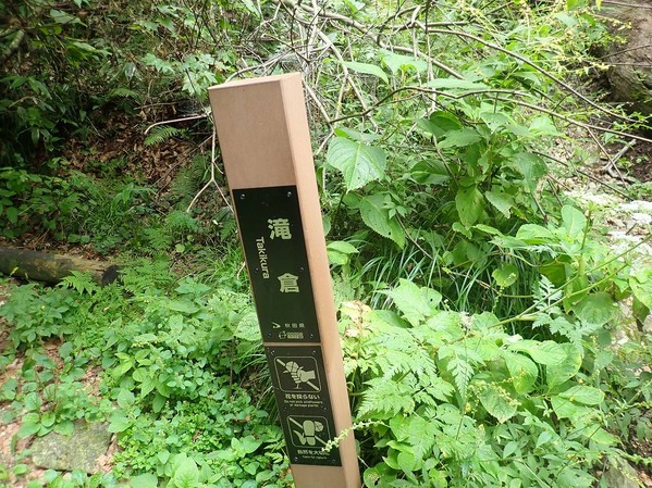 P9090014
