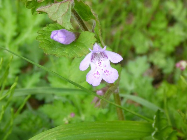 P1230038