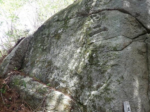 P5040297