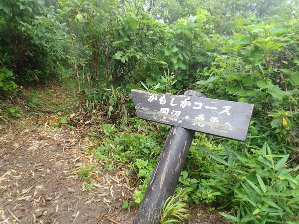 P9050048