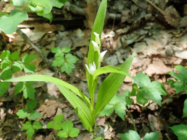 P5250058