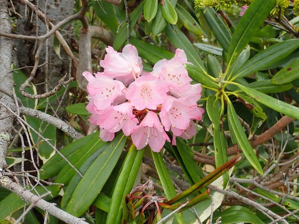 P6180036