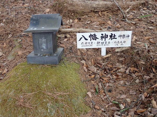 P3100079