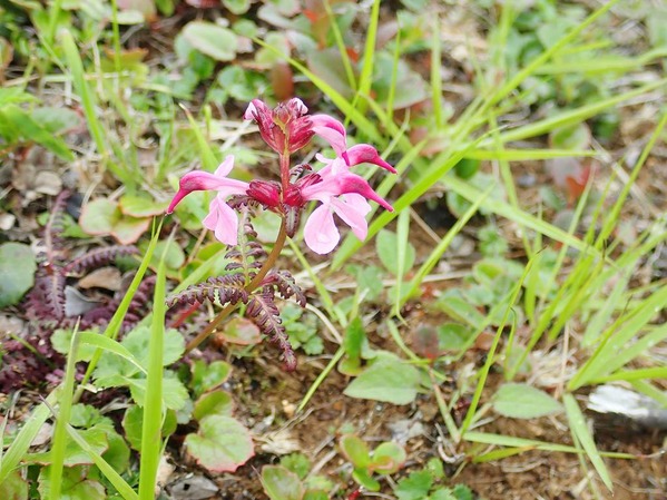 P7170061