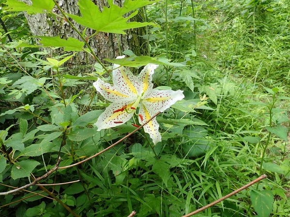 P7210017