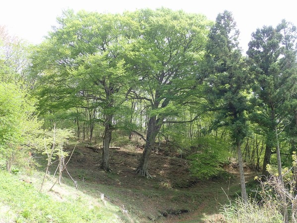P5060165