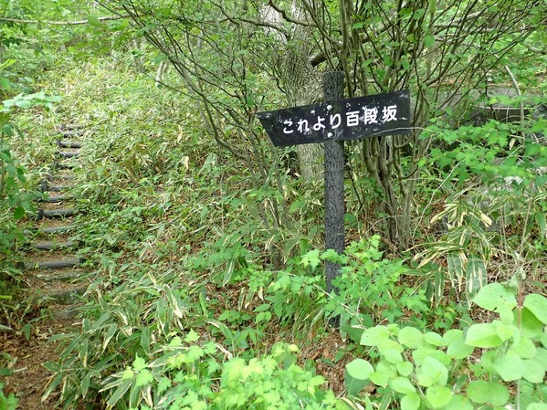 P6080063