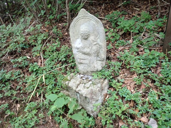 P8020042