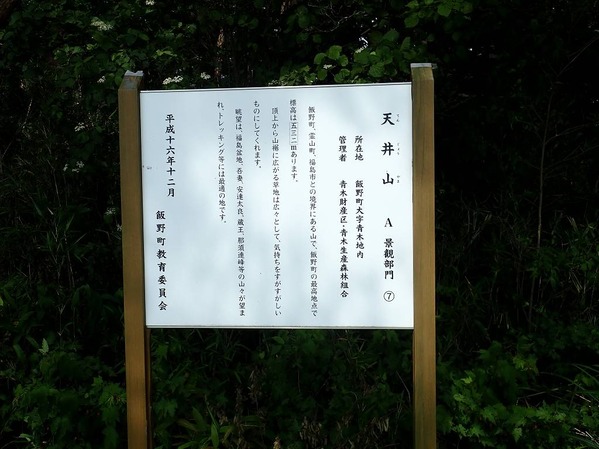 P6110174