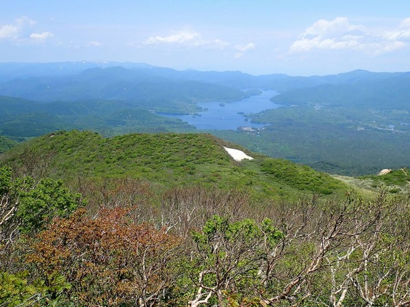 P6020079