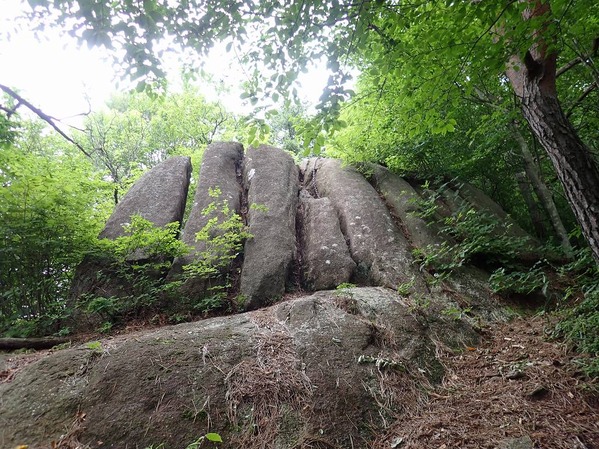 P8020035