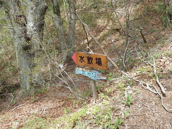 P5060138
