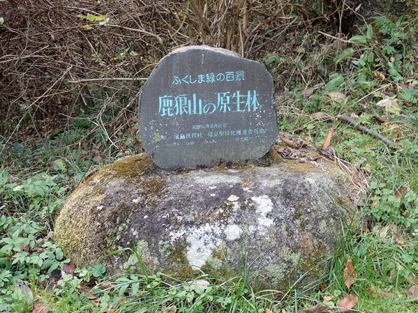 PC050009