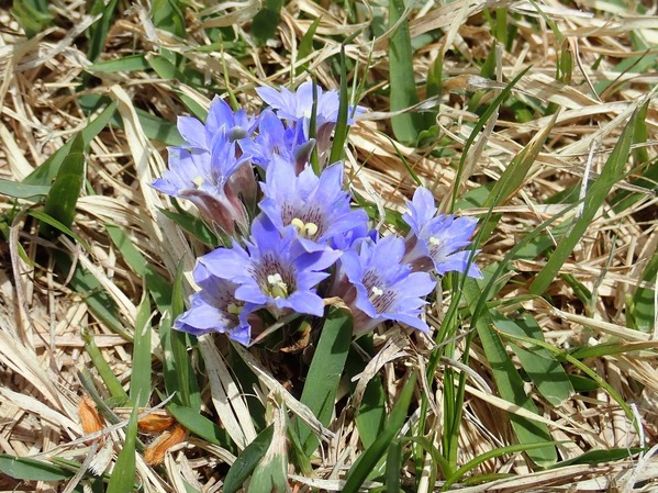 P5060145