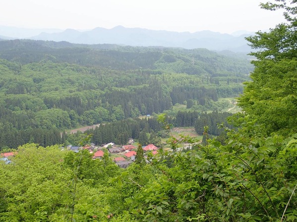 P5200044