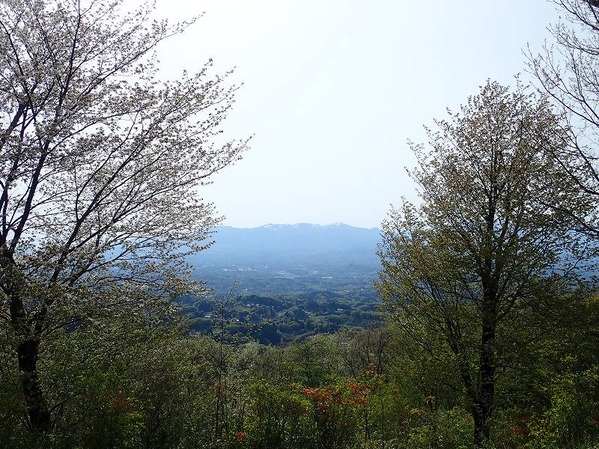 P5040356