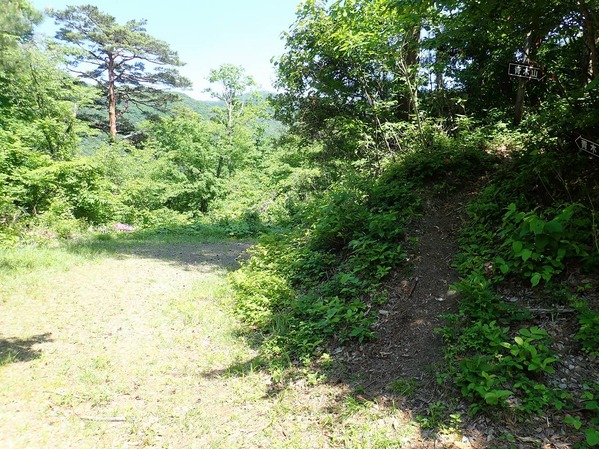 P5250107