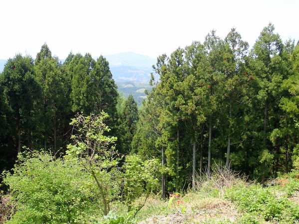 P5060102