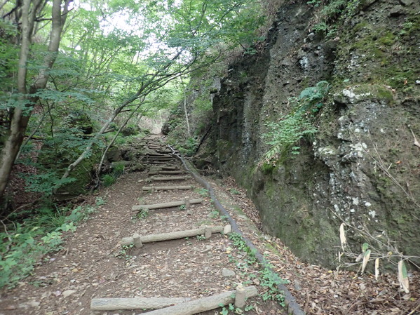 PA060123