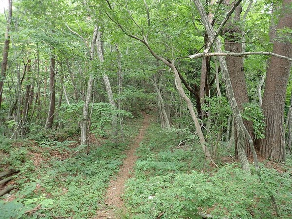 P7210058
