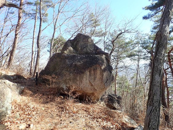 P1200046