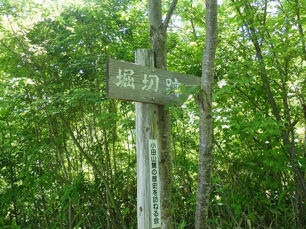 P5250016
