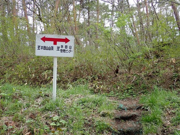 P5010020