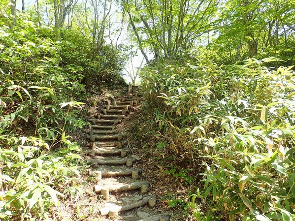 P6020021