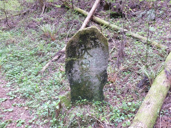 P1230055