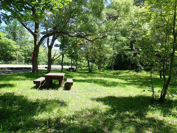 P7170051