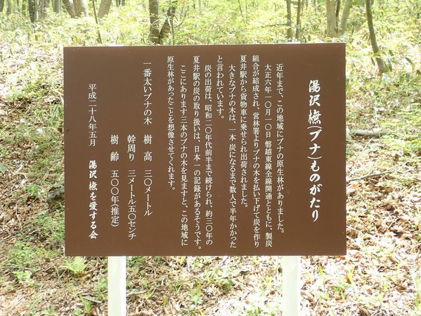 P5060101