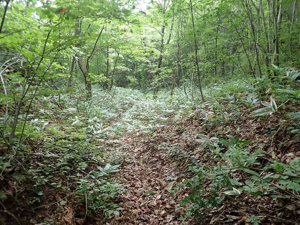 P7240131