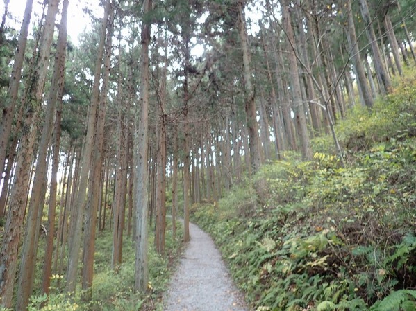 PC050017