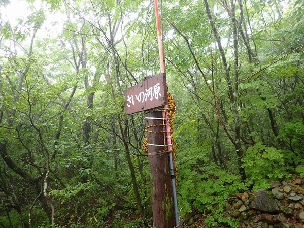 P9050081