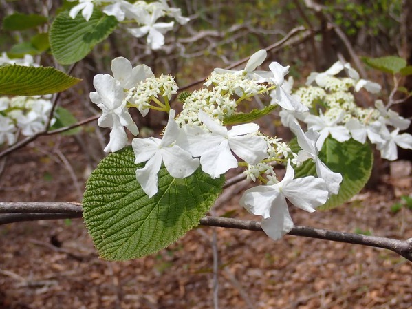 P5060159
