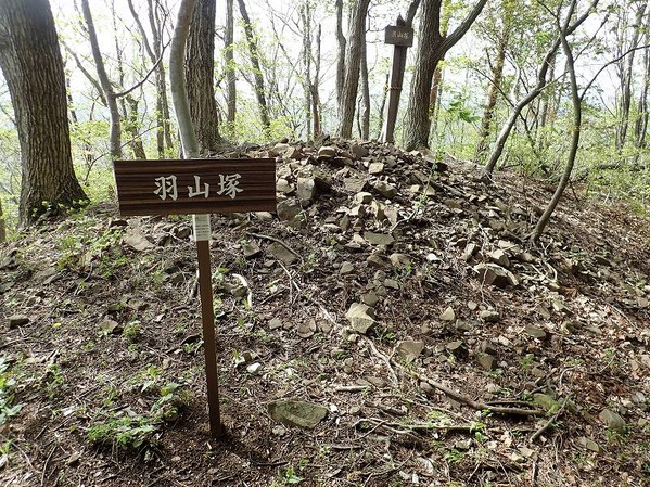 P5040349