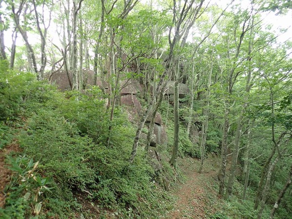 P8020054