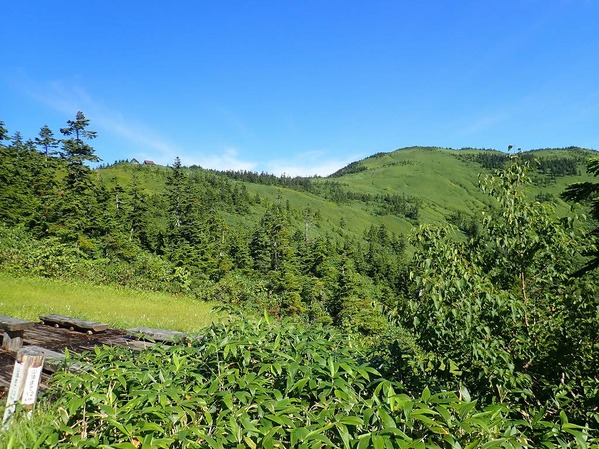 P8290022