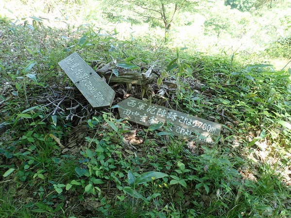 P5250011