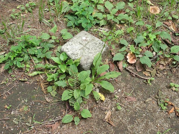 P8020071
